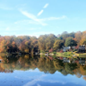 Meet your Posher, Constance